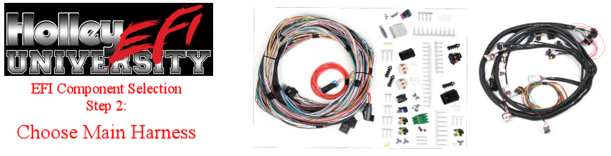 Holley ECU Component Selection Guide Step 2: Choose Main Harness