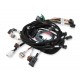 Main Harness, 99-04 Ford Modular
