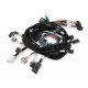 Main Harness, 99-04 Ford Modular