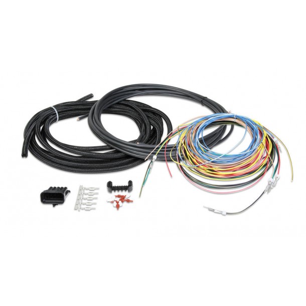 Ignition Harness, Universal Unterminated