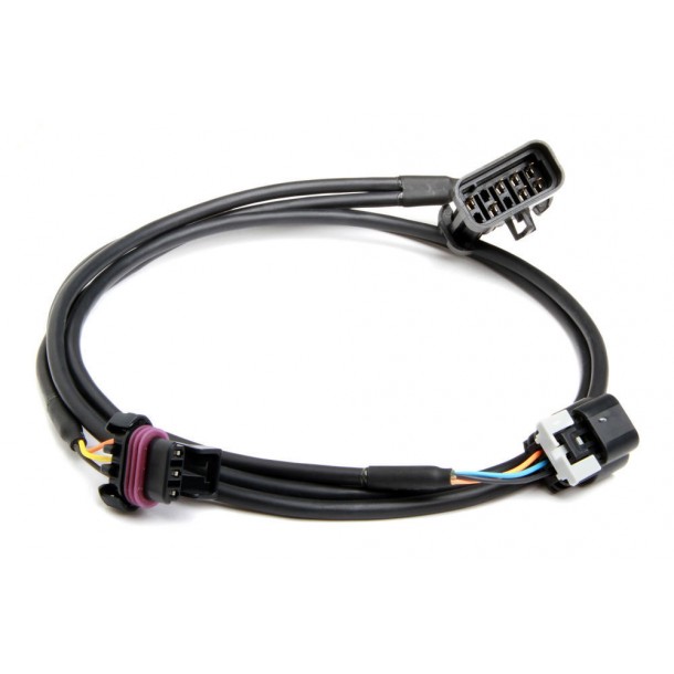 Ignition Harness, Terminated for Holley 60-2 Crank and GM Cam Sensors