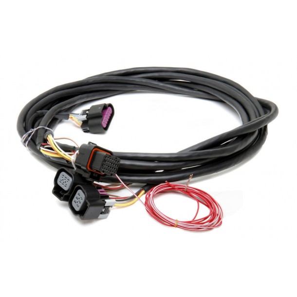 Drive-By-Wire Harness, GM Dual DBW Throttle Body