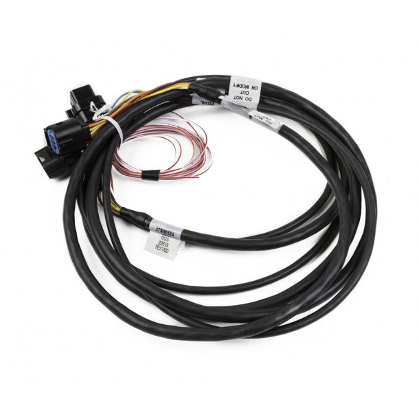 Drive-By-Wire, Gen III Hemi Harness, Late Pedal