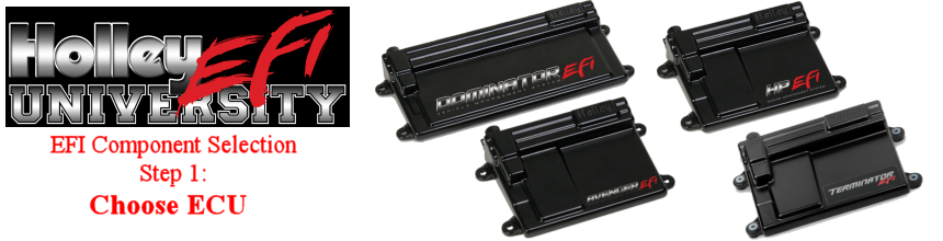 Custom EFI Component Selection Step 1: Choose ECU