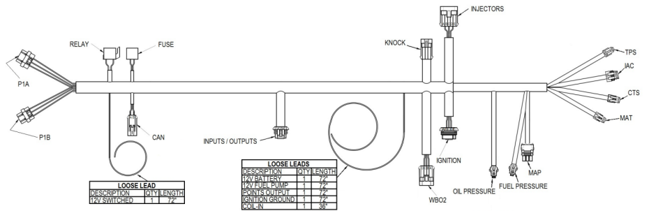 Holley Main Harness for a universal Multi-Point Fuel Injection Application