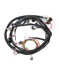 Main Harness - GM LS2/3/7+ (58x/4x)