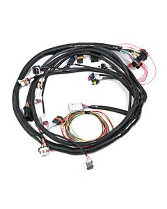 Main Harness - Universal MPFI, Except Coil-on-Plug