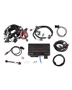 Terminator X MPFI - Ford Mod Motor 2V/4V, EV6 Injectors, Smart Coils