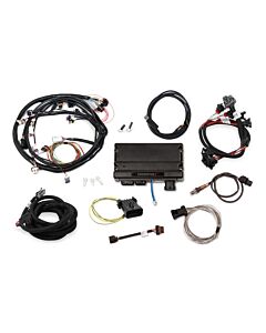 Terminator X MPFI - for Hilborn EFI System