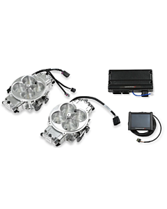 Terminator X Stealth 2x4 4500 TBI - 8 Inj, 800-1500 HP, Shiny