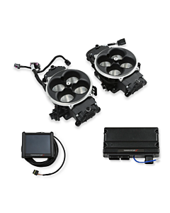 Terminator X Stealth 2x4 4500 TBI - 8 Inj, 800-1500 HP, Black