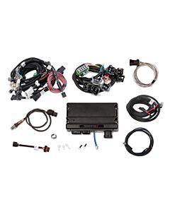 Terminator X MPFI - Ford Mod Motor 2V/4V, EV1 Injectors, Smart Coils