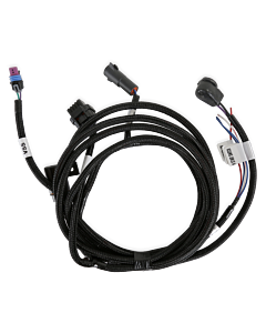 Transmission Harness - TKO