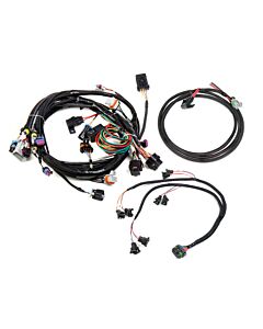 Harness Kit - GM LS 24X