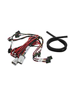 Ignition Sub Harness - C-N-P - Big Wire for High HP Applications