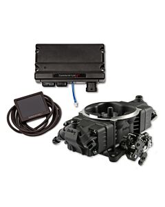 Terminator X Stealth 4150 TBI - 4 Inj, 650 HP, Black